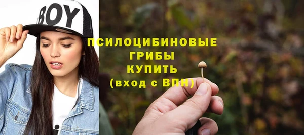 сатива Красноперекопск