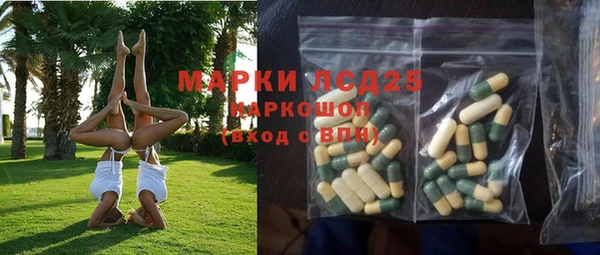 гидра Корсаков